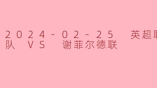 2024-02-25 英超联赛 狼队 VS 谢菲尔德联